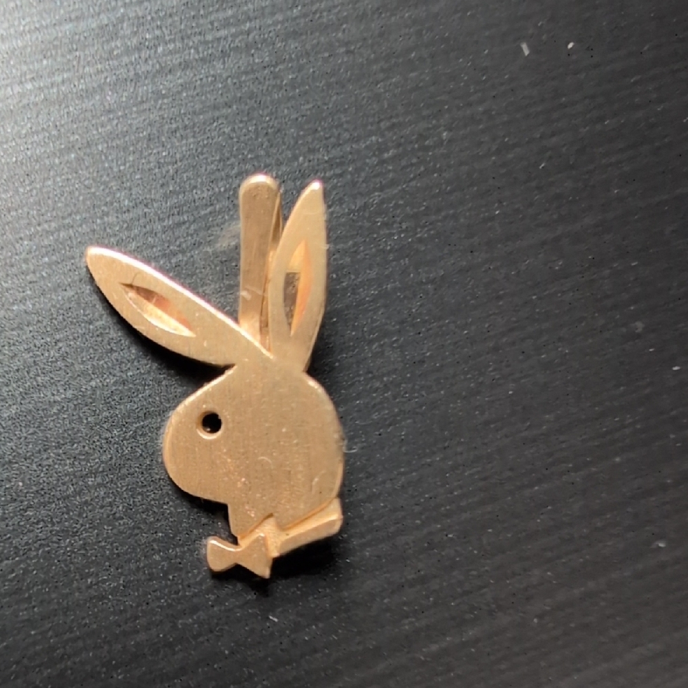 Gold Bunny Pet Charm